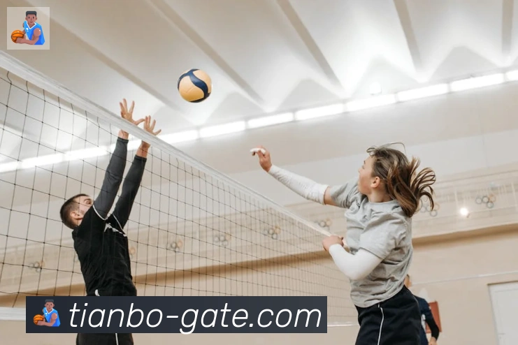 天博官网发展历程