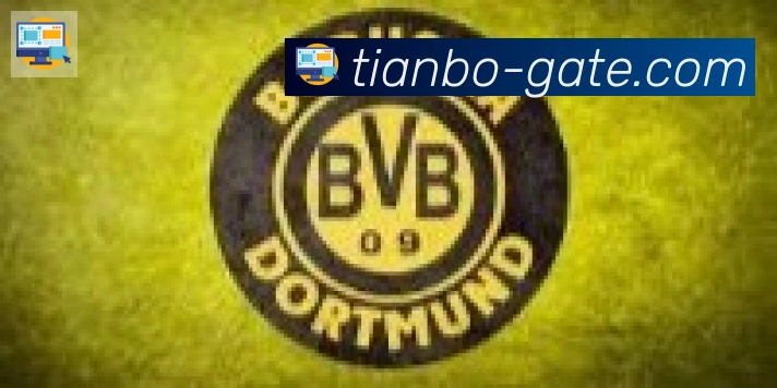 天博官网合作伙伴